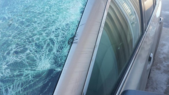 deer hit accident auto class suv replace cracked windshield repair fon du lac